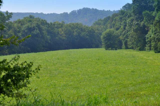 420 Jenkins Cemetery Road Centerville, TN 37033 - Photo 3 of 20 Gallery Image 3