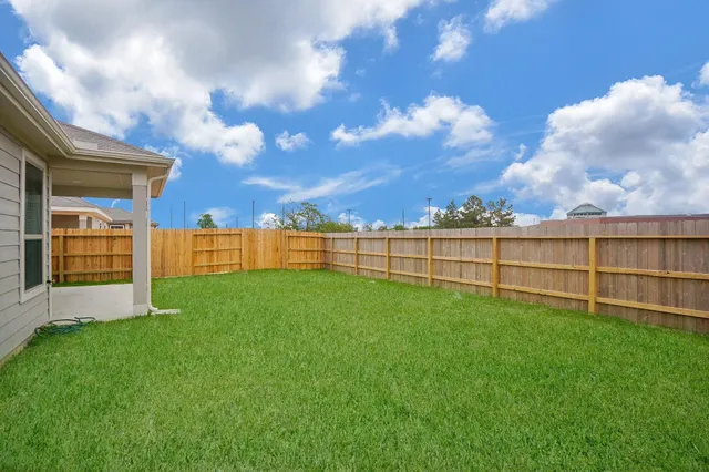 a view of a backyard with plants and a garden