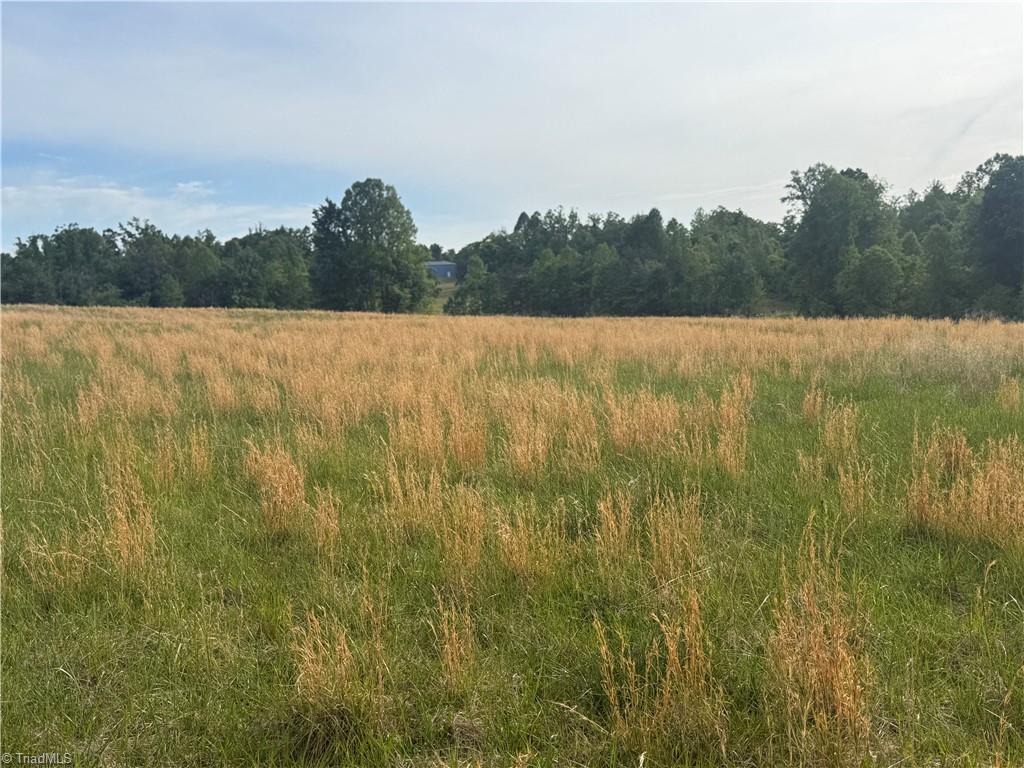 0 Amostown Road Sandy Ridge, NC 27046 - Photo 15 of 33