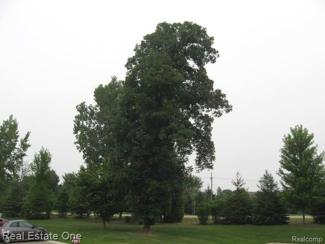 1664 Deepwood Circle Rochester, MI 48307 - Photo 20 of 30 DeepwoodX6.jpg