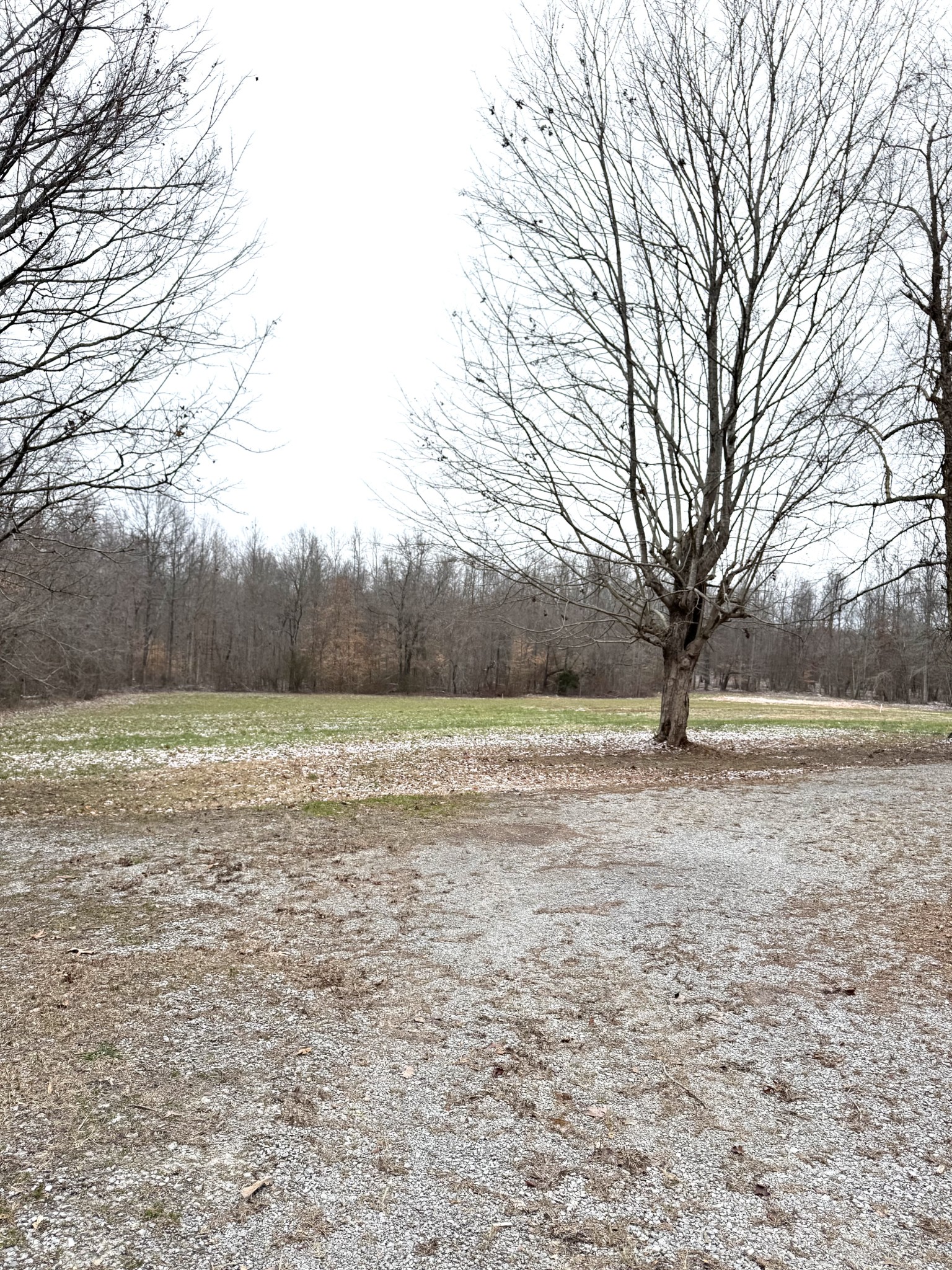3137 Iconium Road Woodbury, TN 37190 - Photo 5 of 18 Gallery Image 5