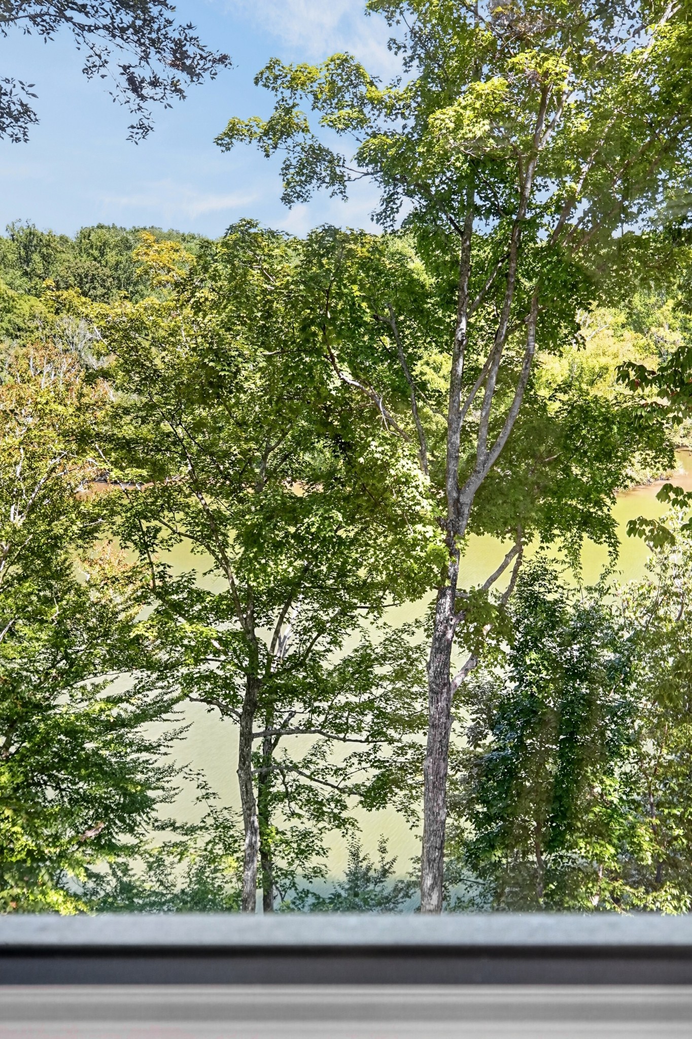 300 Chandler Road Doyle, TN 38559 - Photo 74 of 85 Gallery Image 74