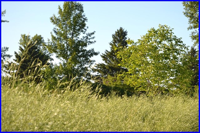 5 Golf View Road Sturgeon Bay, WI 54235 - Photo 1 of 1 Main View
