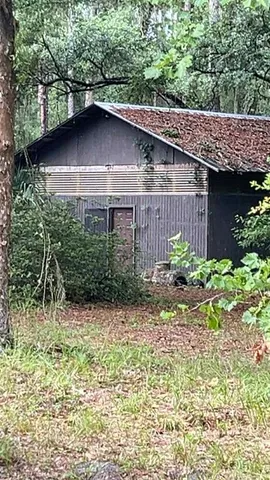 a backyard of a house with lots of green space