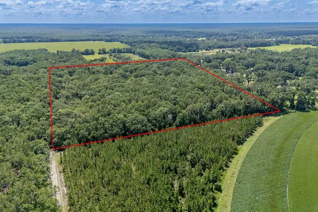 a view of a garden with a building in the background