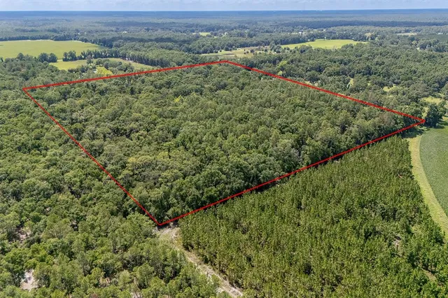 a view of a green field with lots of bushes