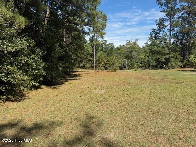 1067 River Road Tabor City, NC 28463 - Photo 1 of 9 IMG_3723