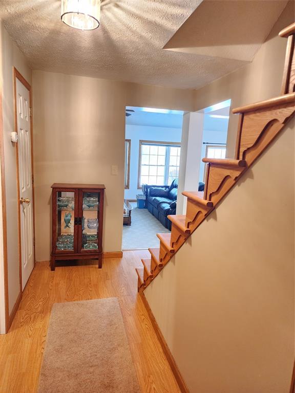 10024 Gillespie Road Laurel, IN 47024 - Photo 29 of 53