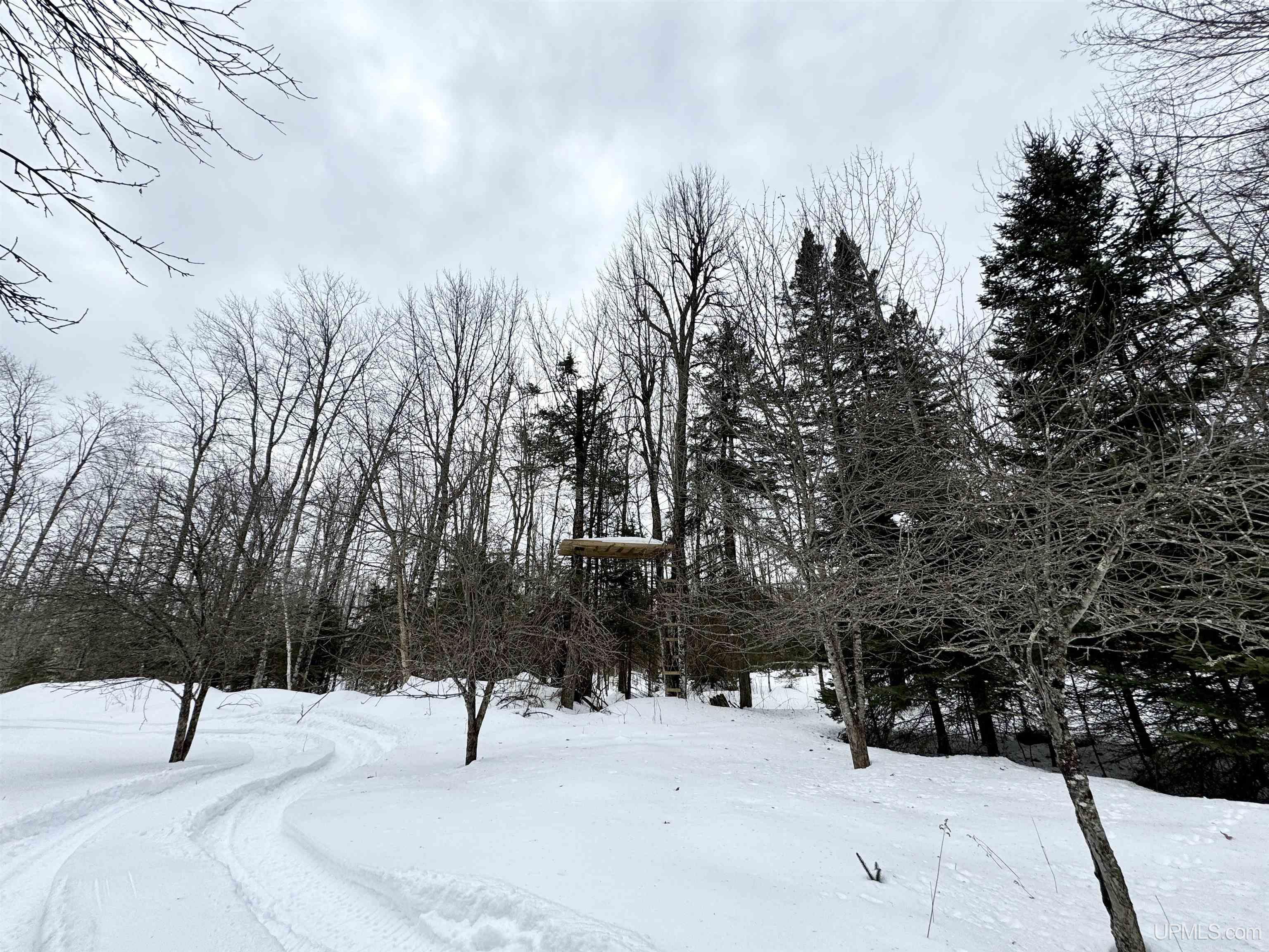 Tbd Off North Road Perkins, MI 49872 - Photo 26 of 48 Gallery Image 26