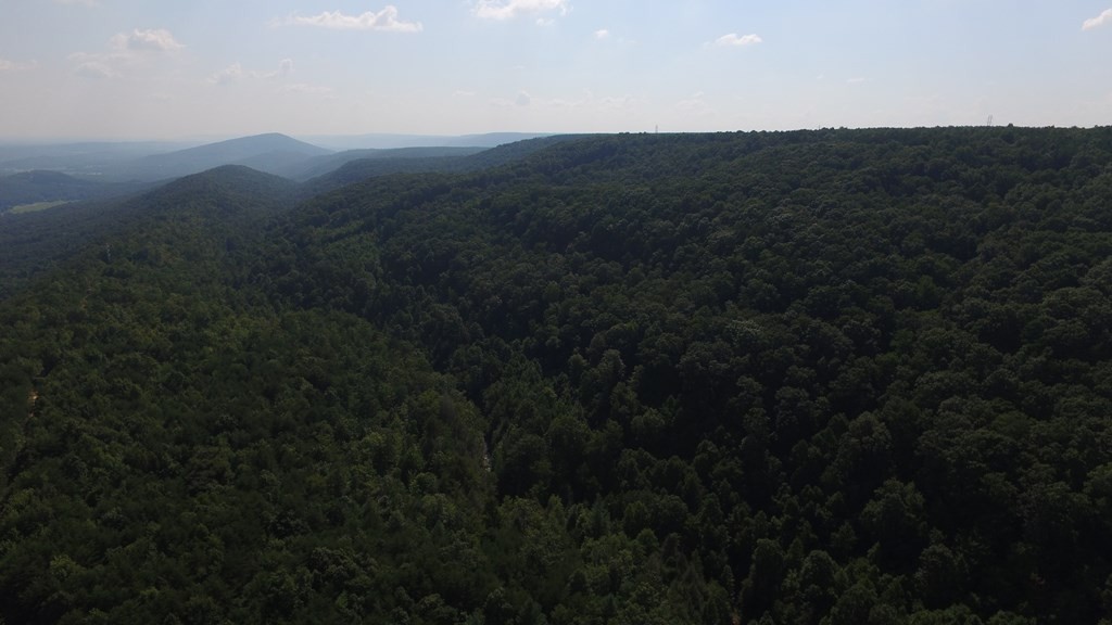 0 Back Valley Road Dayton, TN 37321 - Photo 17 of 20