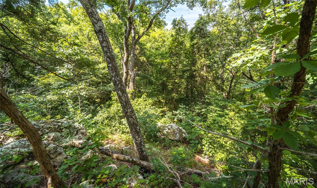 2384 Tea Road Rosebud, MO 63091 - Photo 52 of 55