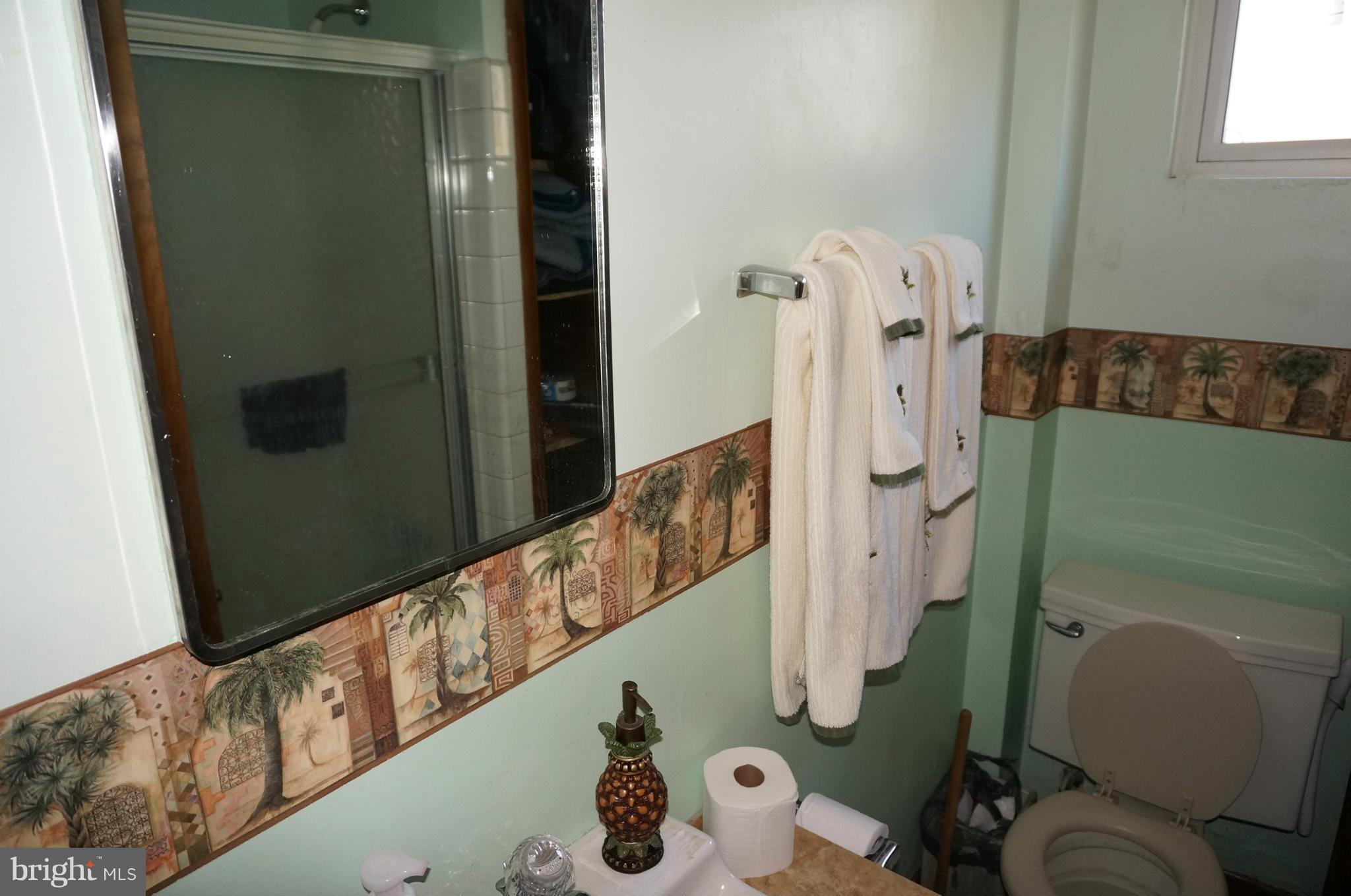 25003 Woodfield Road Damascus, MD 20872 - Photo 22 of 30 Full Bath In Basement