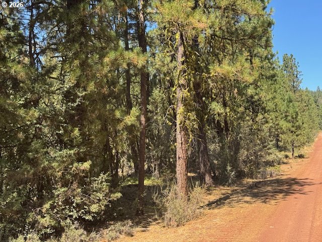 Whitetail Lane Sprague River, OR 97639 - Photo 6 of 27 Gallery Image 6