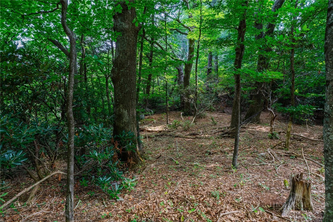 Lot 4 Old Orchard Road Lenoir, NC 28645 - Photo 7 of 23