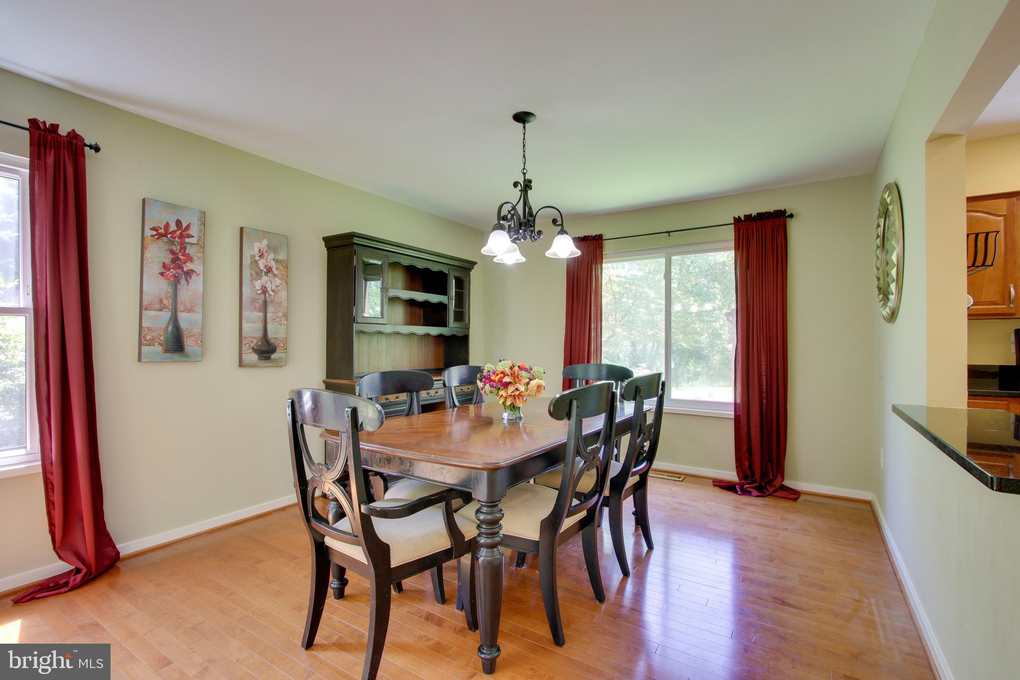 10069 Cape Ann Drive Columbia, MD 21046 - Photo 4 of 26