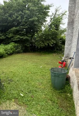 a view of a backyard with plants and large trees