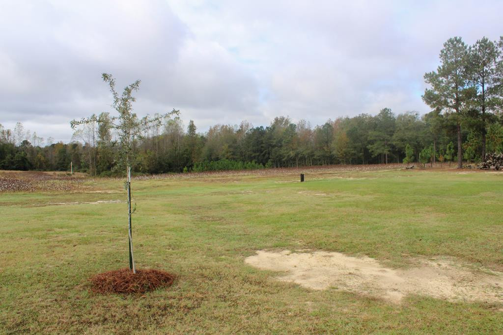 810 Vice Cameron, SC 29030 - Photo 29 of 33 Photo 29