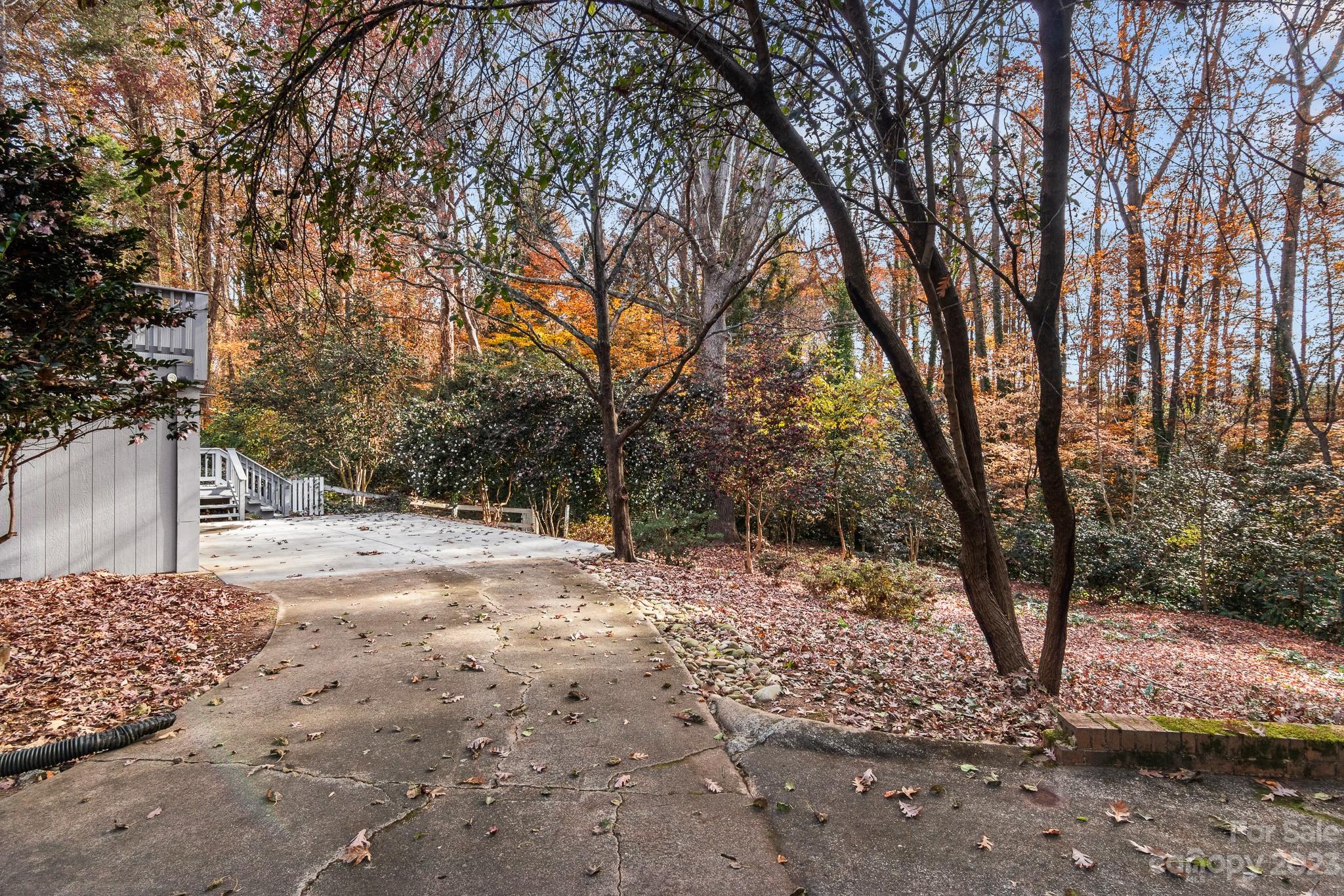 209 Country Club Road Shelby, NC 28150 - Photo 39 of 42 a view of a yard with large trees