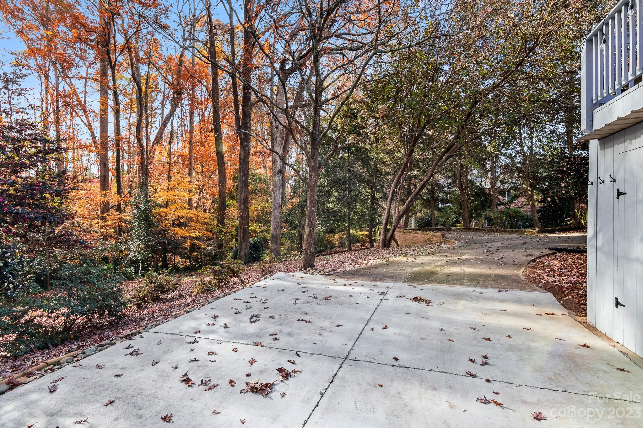 209 Country Club Road Shelby, NC 28150 - Photo 40 of 42 a view of a yard with trees