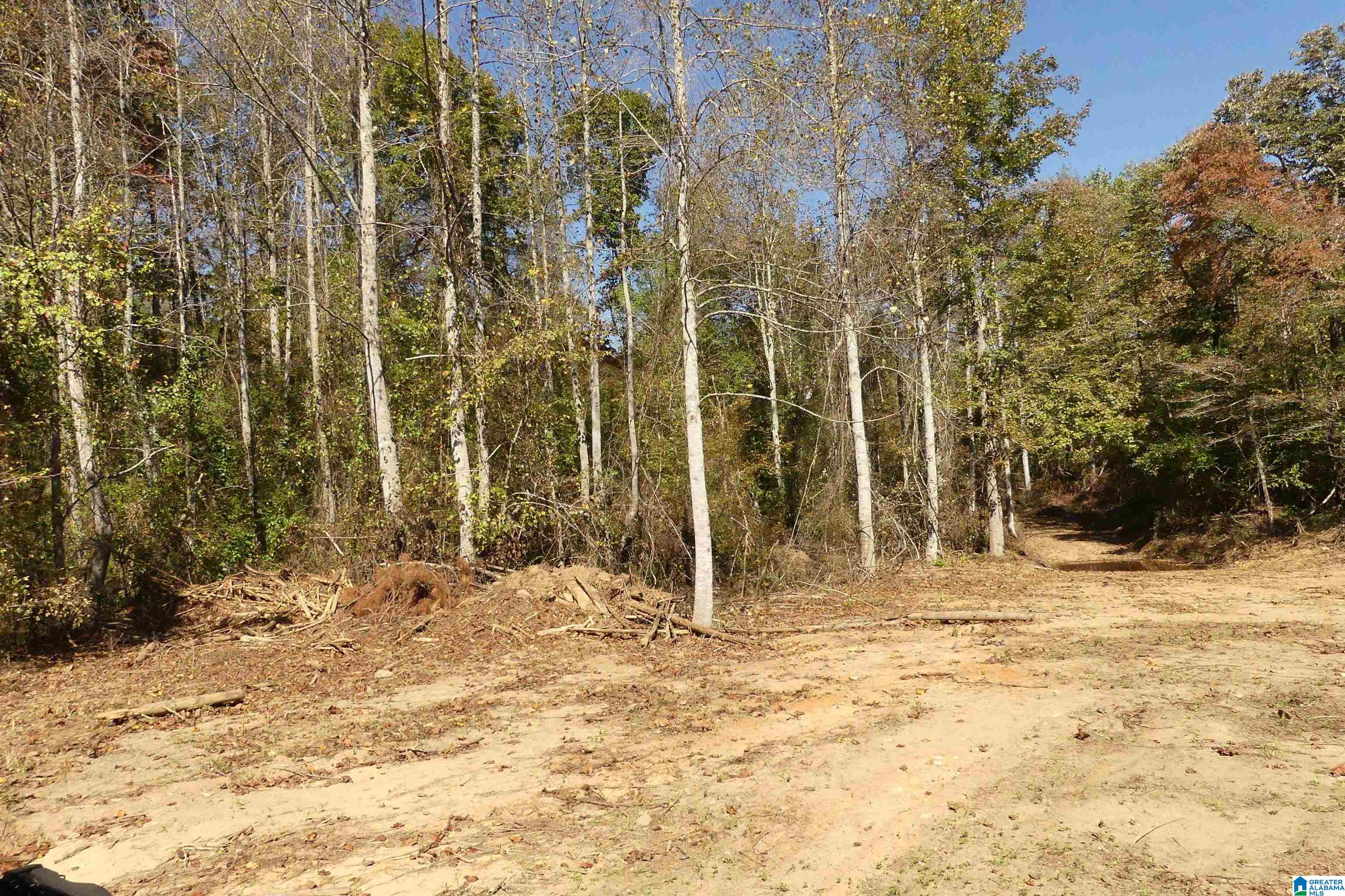 540 Newell Al Heflin, AL 36264 - Photo 5 of 22