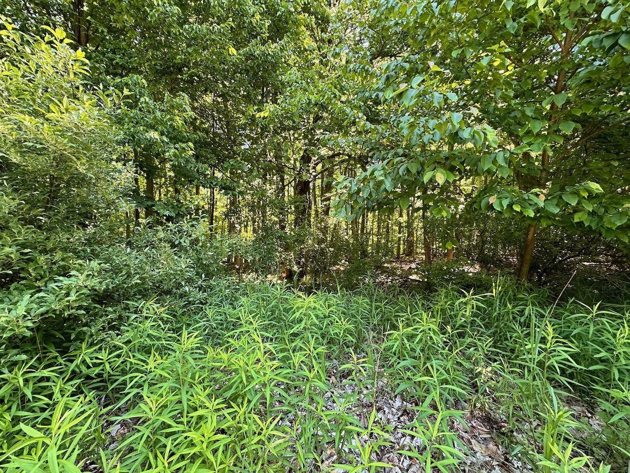 128 Founders Ridge Bellaire, MI 49615 - Photo 3 of 35 1923502-8ea99d94-bb38-4d47-89bc-4061cd65fad0.JPG