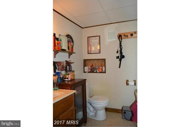 116 Rambo Court Linden, VA 22642 - Photo 24 of 30 a bathroom with a toilet a sink and mirror