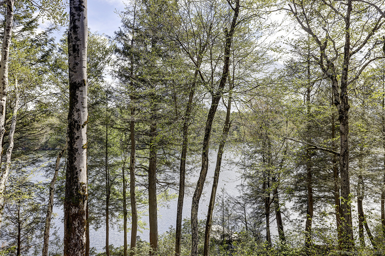 Undisclosed Address Norfolk, CT 06058 - Photo 4 of 20