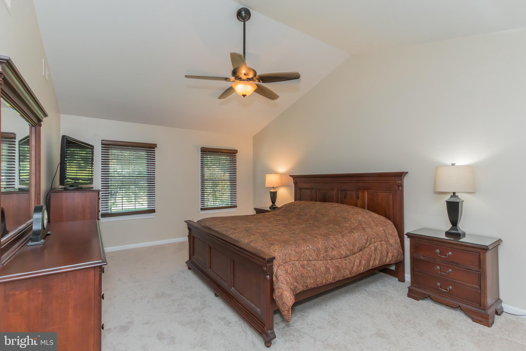 9217 Huntmaster Road Gaithersburg, MD 20882 - Photo 14 of 34 Owner's Suite with cathedral ceiling