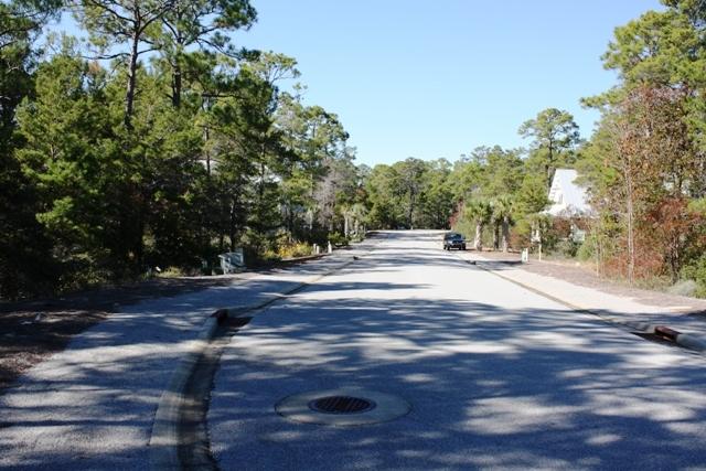 Lot 43 Matts Way Santa Rosa Beach, FL 32459 - Photo 2 of 4 a view of road with trees