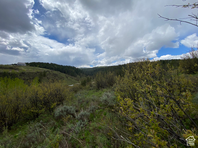 41 Grouse Loop Road, Unit 41 Freedom, WY 83120 - Photo 27 of 33 View of mountain backdrop with a forest