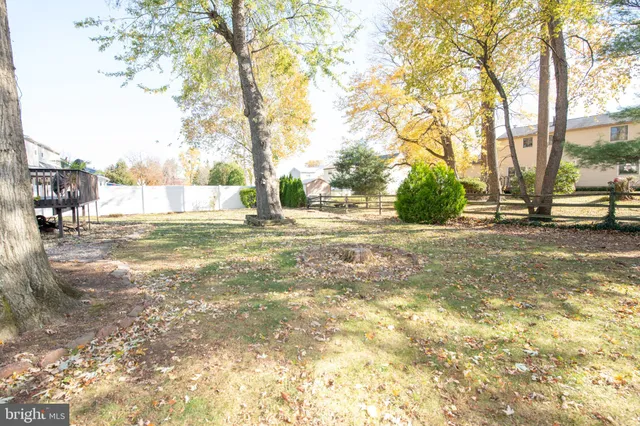 a view of a yard with a tree