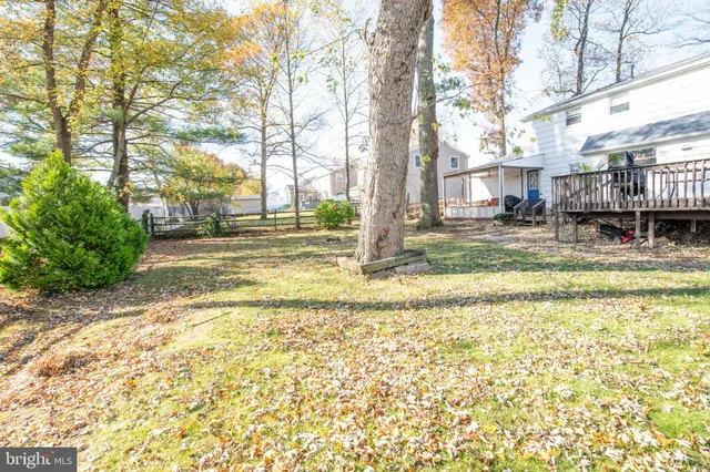 a view of street with large trees