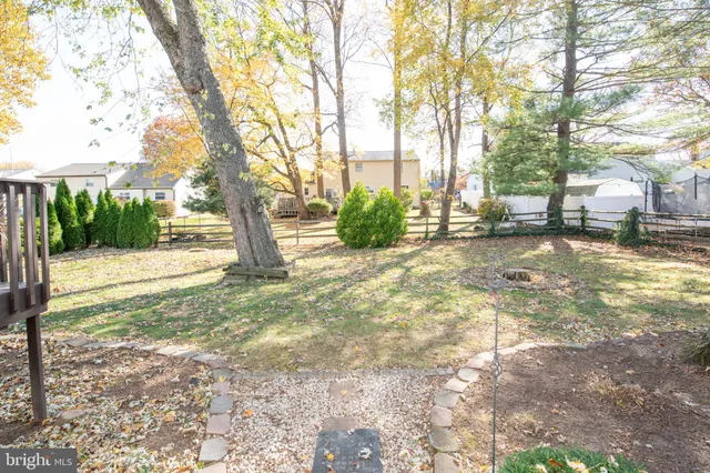 a view of a yard with plants and trees