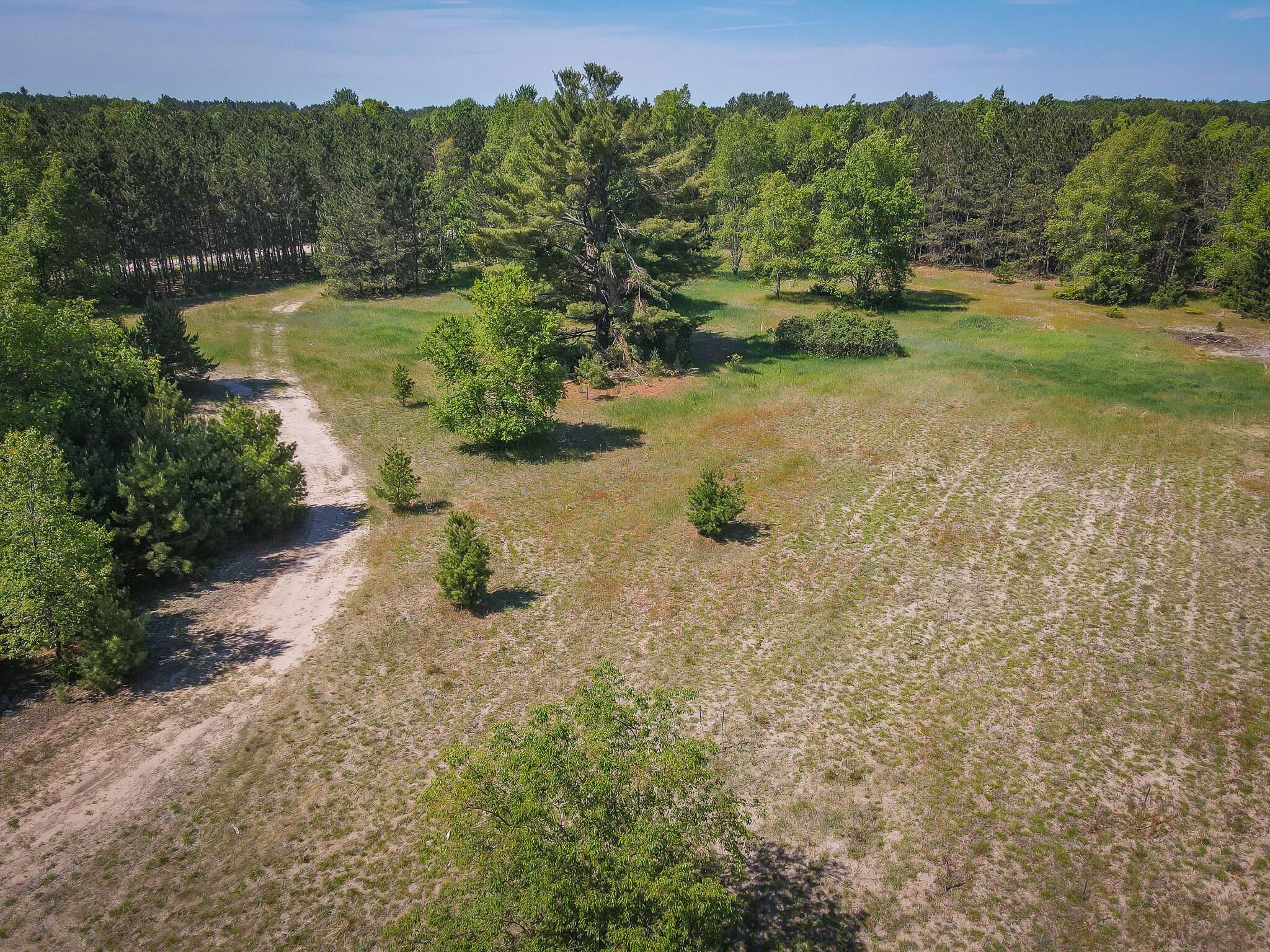 Parcel A Makinen Road Kaleva, MI 49645 - Photo 6 of 29 DJI_0275