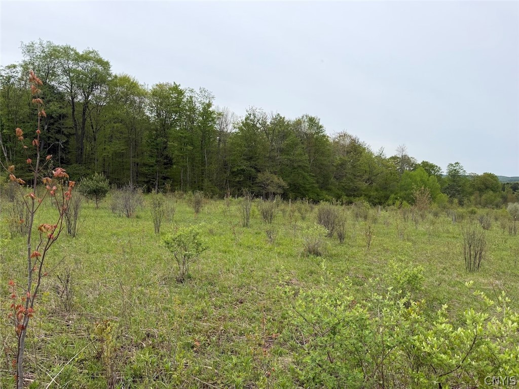 Reynolds Road Franklinville, NY 14737 - Photo 33 of 38