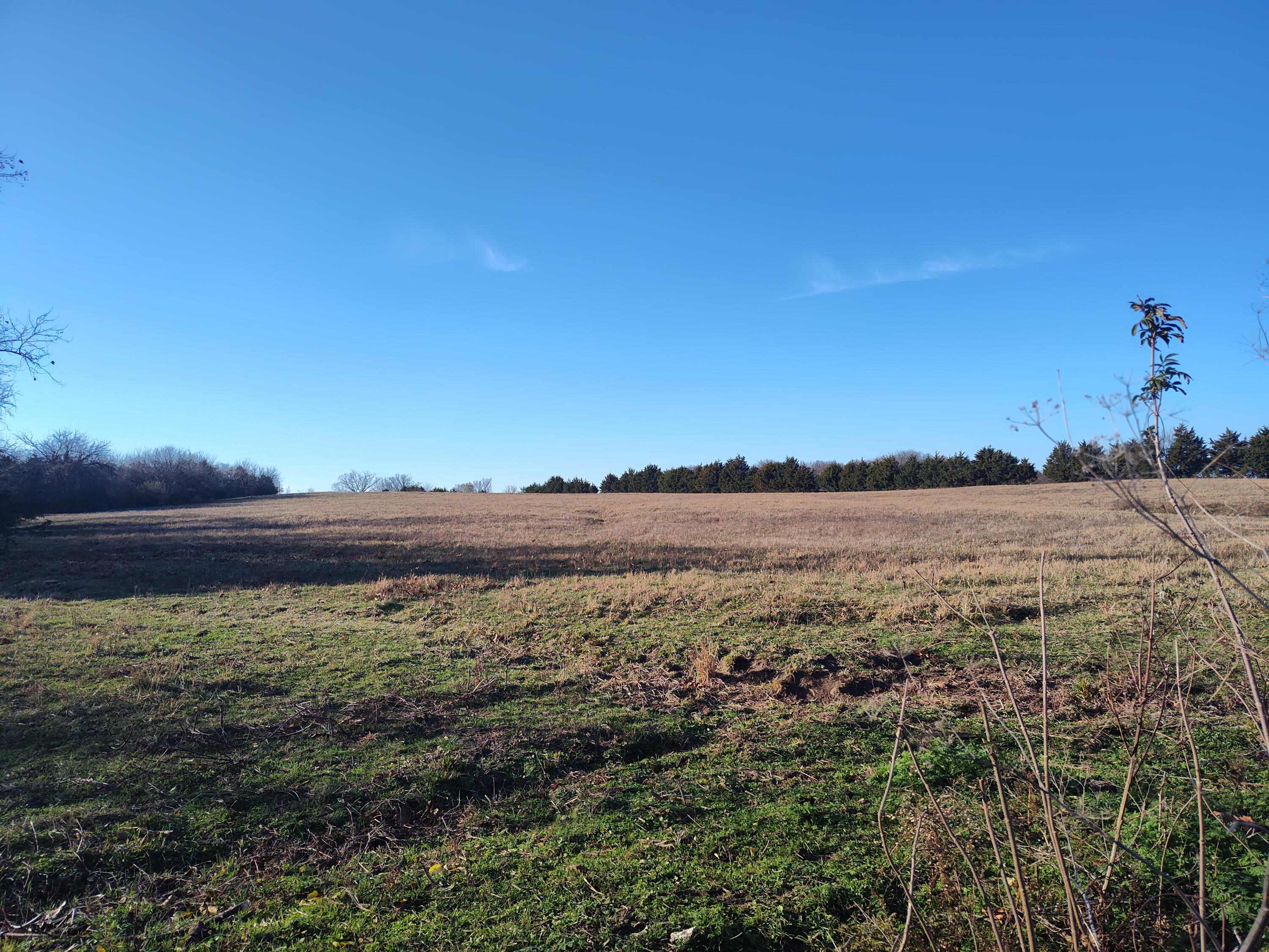 1672 East 355th Road Bolivar, MO 65613 - Photo 68 of 92 Land 11