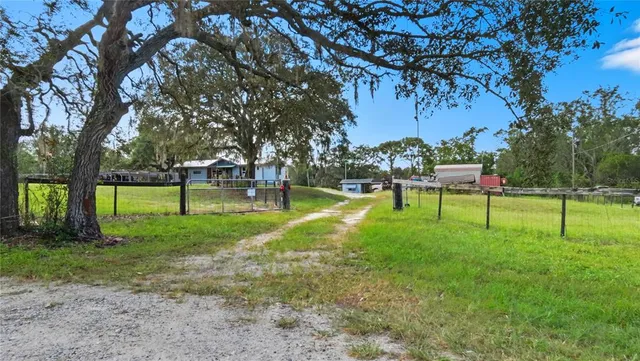 a view of a park with a large tree