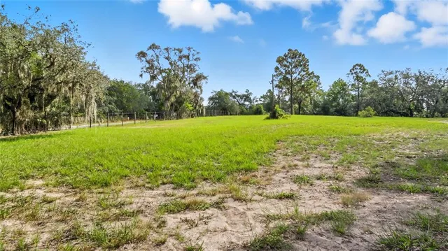 a view of field with trees in the background