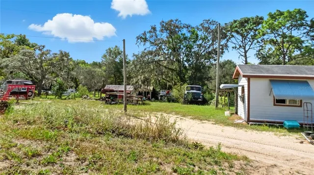 a small garden covered with tall trees