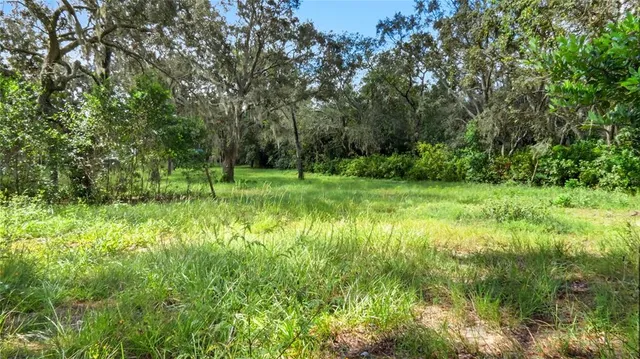 a view of a green field with lots of bushes