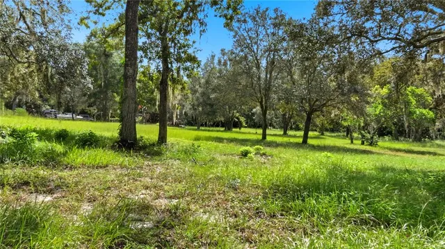 a view of a trees with a big yard