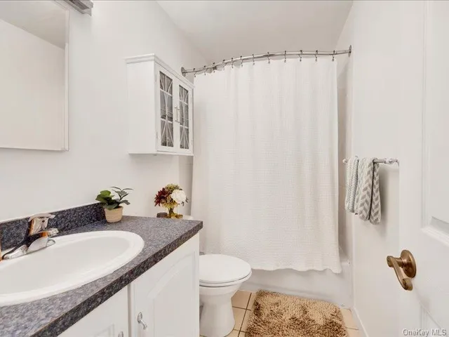 a bathroom with a sink a toilet and shower curtain