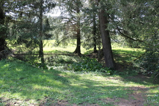 290 Camp 12 Loop Toledo, OR 97391 - Photo 15 of 29 Pasture area