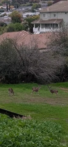 $1,499,000 | 216 Alta Mira Drive, Vacaville, CA 95688