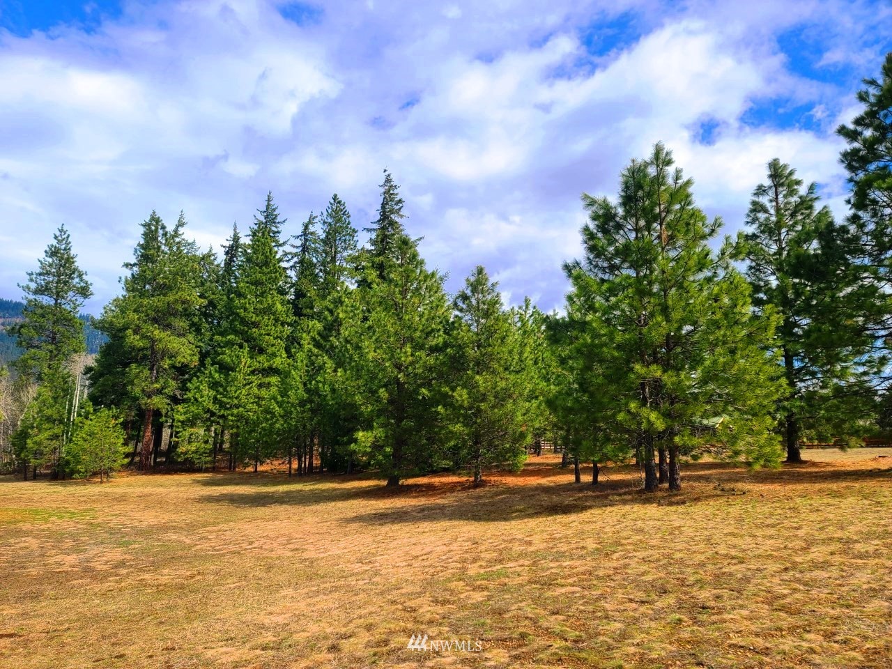 17 D Old Cedars Road Cle Elum, WA 98922 - Photo 8 of 38 a view of a swimming pool with an trees in the background