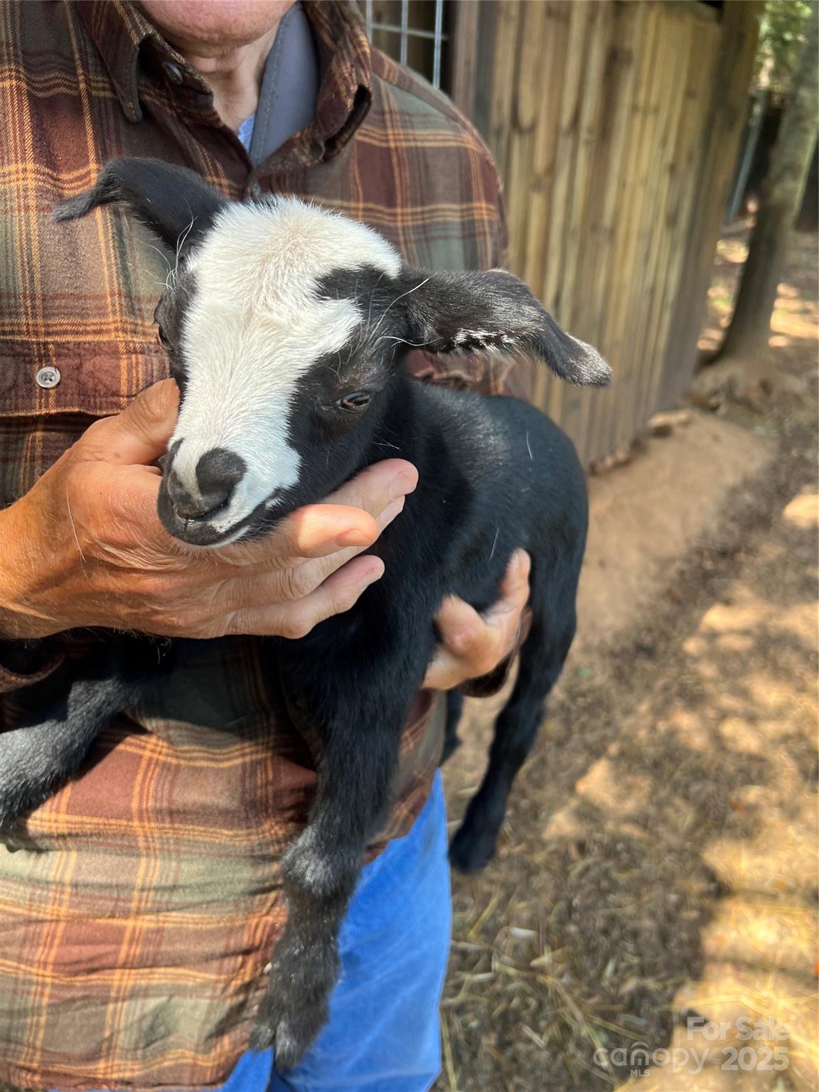 1301 Double Springs Church Road Shelby, NC 28150 - Photo 15 of 42 a close view of stove