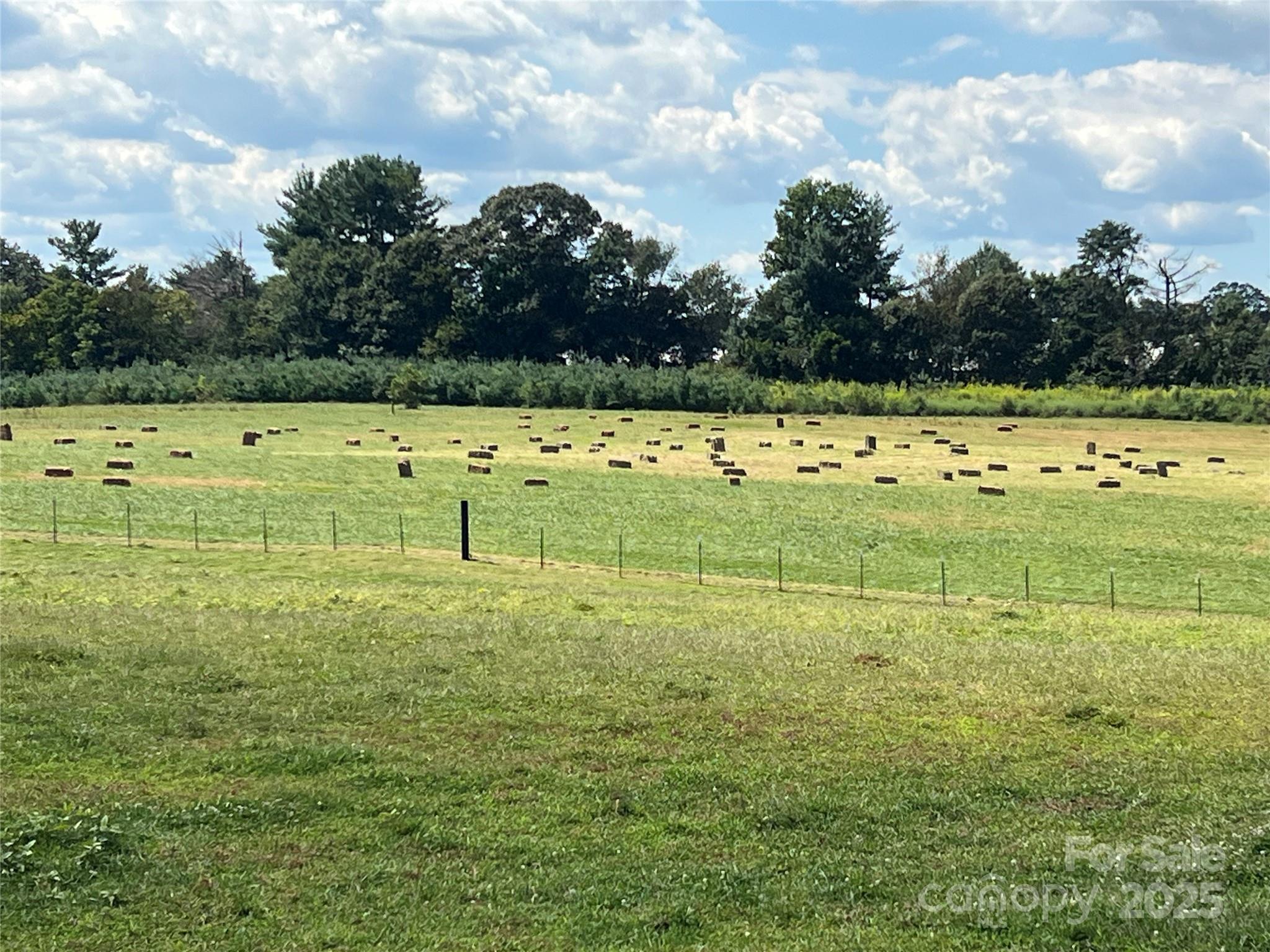 1301 Double Springs Church Road Shelby, NC 28150 - Photo 19 of 42 a view of a field