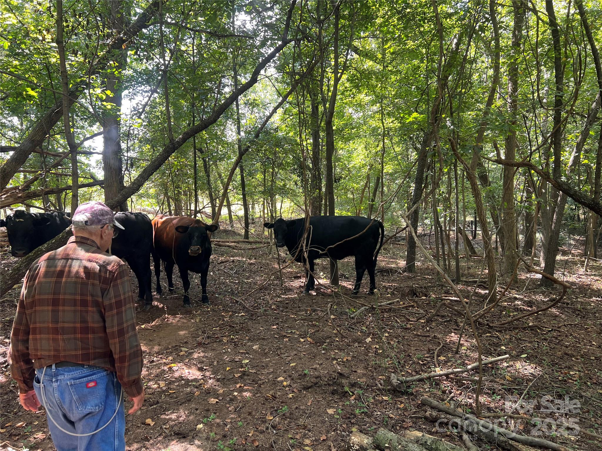 1301 Double Springs Church Road Shelby, NC 28150 - Photo 42 of 42 a garden view with a seating space