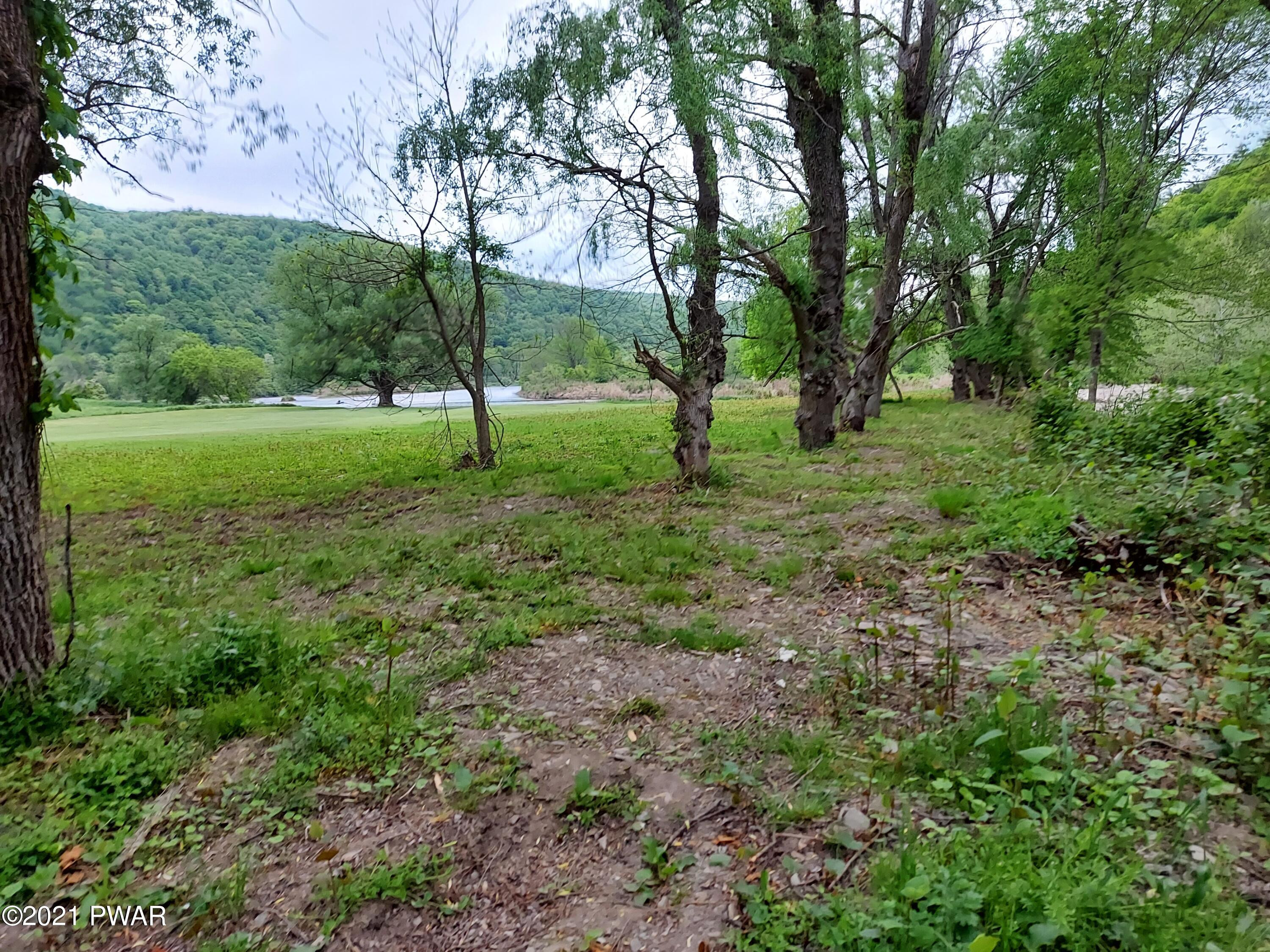 50 Penn-York Road Starlight, PA 18461 - Photo 7 of 10