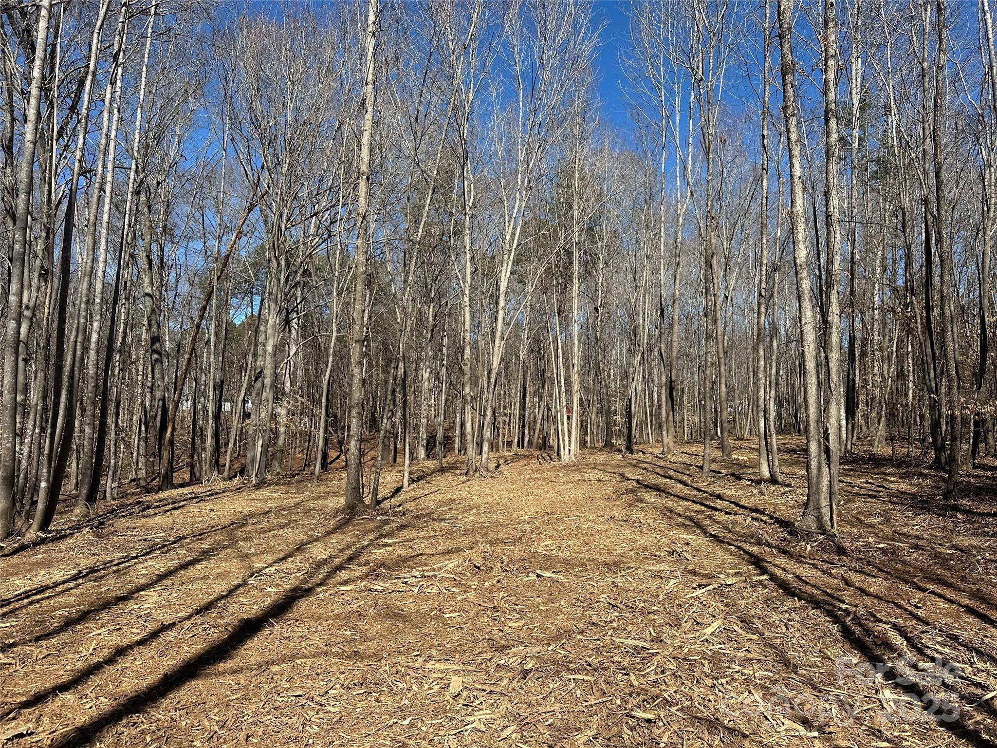 0 Lytton Farm Road Troutman, NC 28166 - Photo 11 of 20 a view of a backyard of the house